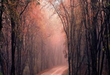 阿拉维斯队引进了一名实力派中后卫，增强防守