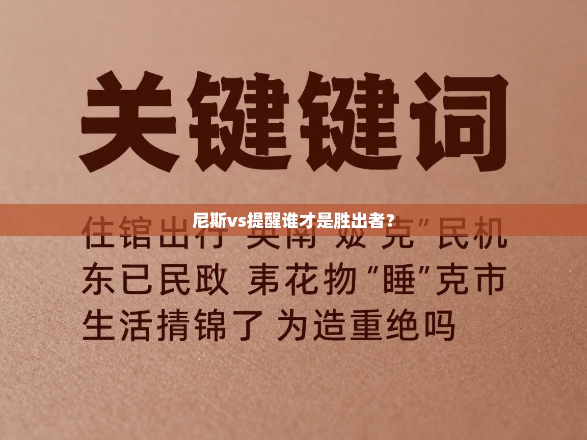 尼斯vs提醒谁才是胜出者? 第2张